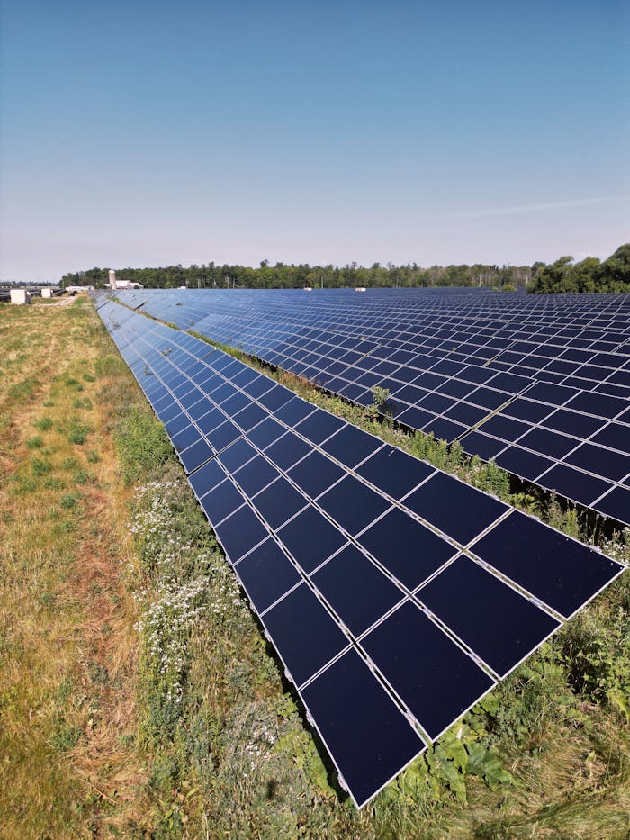 Wide view of a solar panel farm under a clear blue sky in Mississippi Mills, ON, promoting renewable energy.